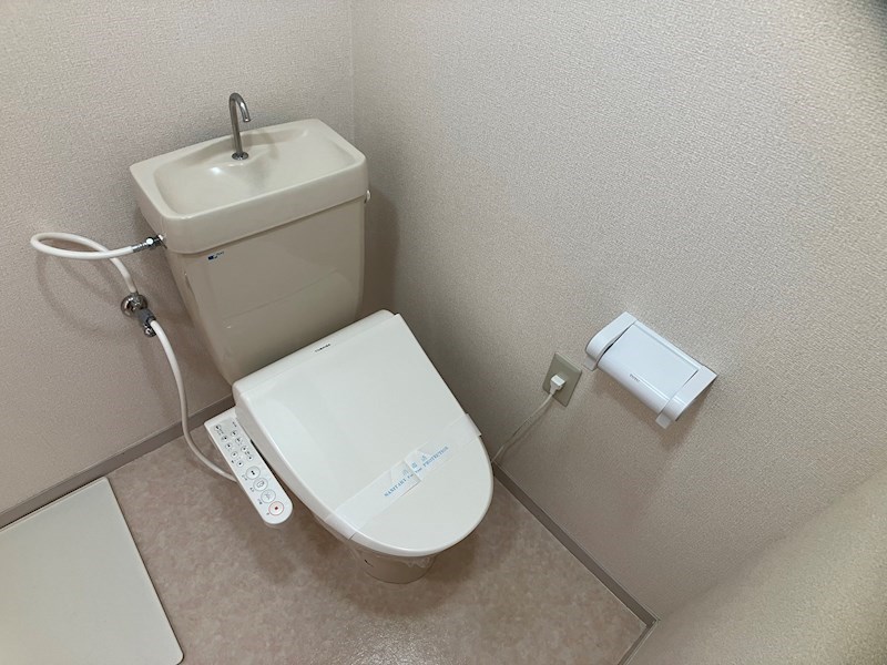 プラトー星 その他4