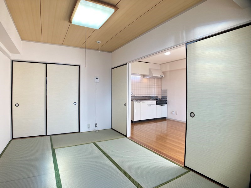 プラトー星 その他6