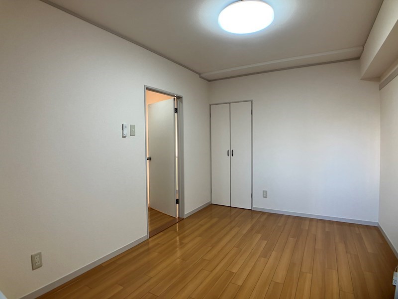 プラトー星 その他10