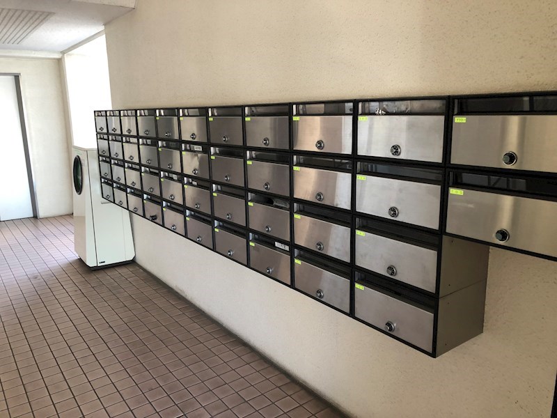 プラトー星 その他18