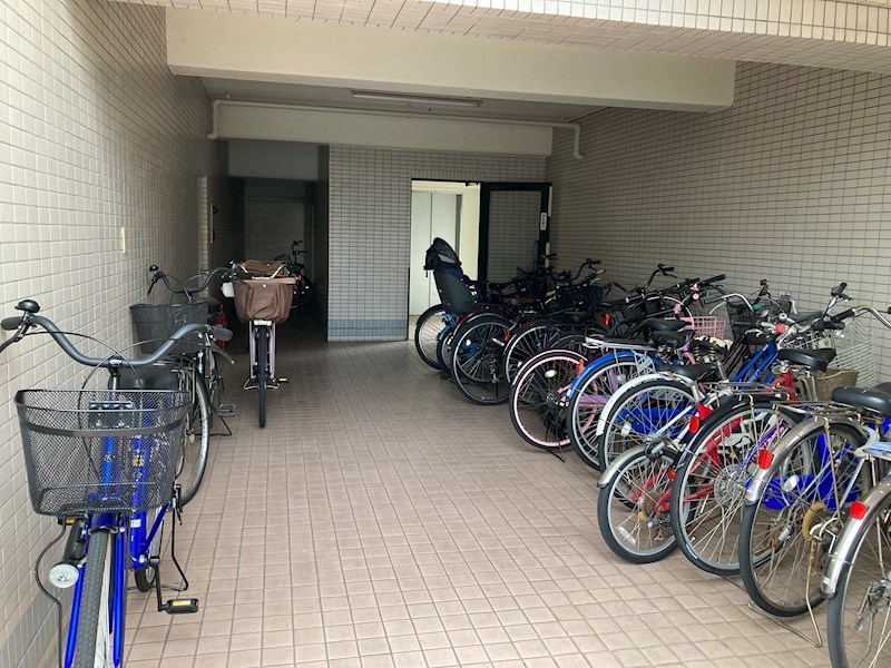 プラトー星 その他20