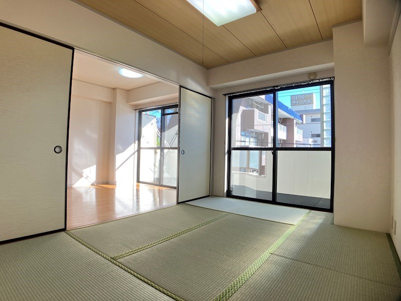 プラトー星 その他7