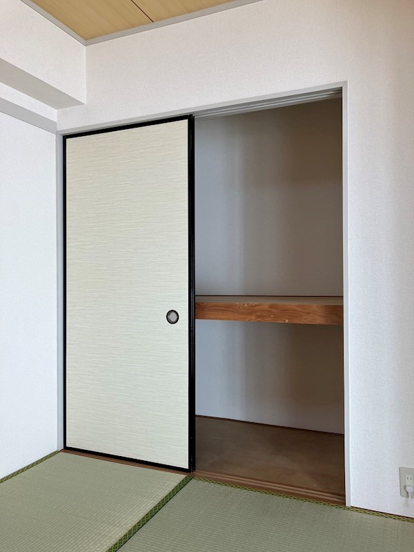 プラトー星 その他8