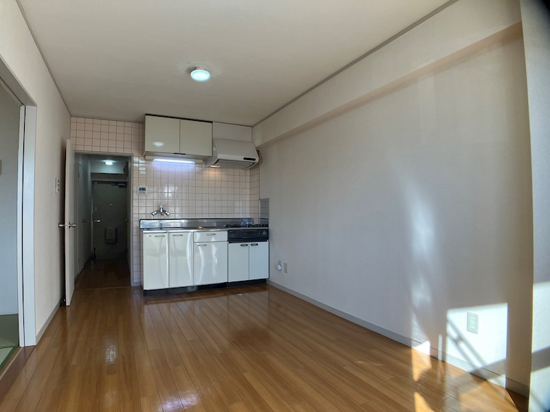 プラトー星 その他11