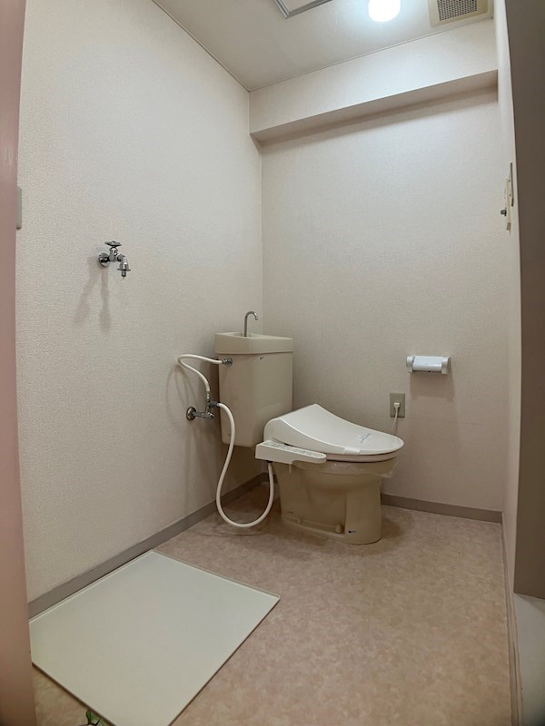 プラトー星 その他15