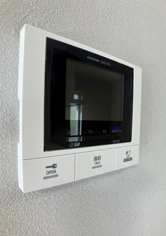 ルアナ その他4