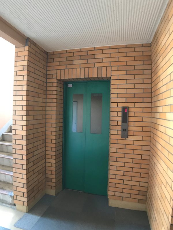 ネオニシキ その他13