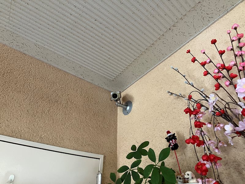 ネオニシキ その他16