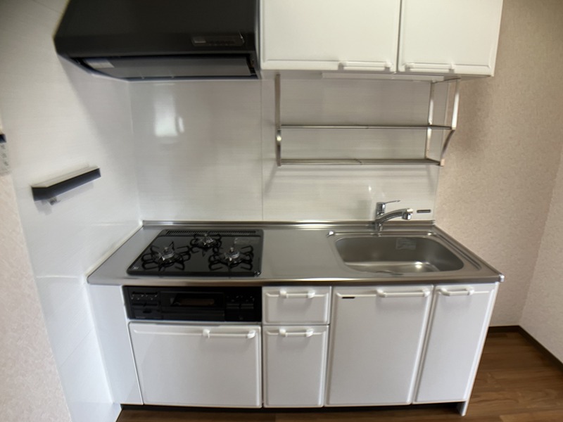 ネオニシキ その他17