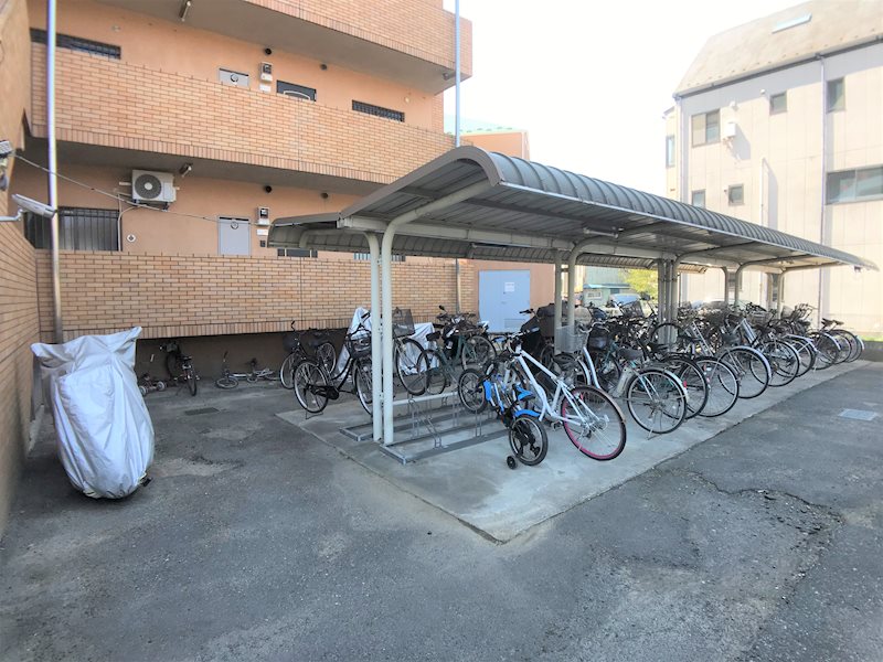 ネオニシキ その他14