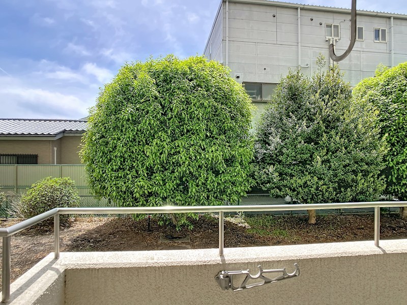 カーサ・エルドラード その他6