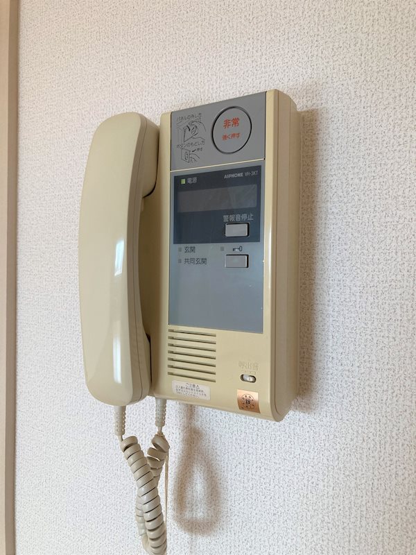 LOTUS MARSH元今泉 その他5