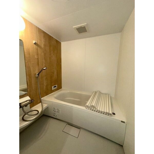 ジャヌー元今泉 風呂画像