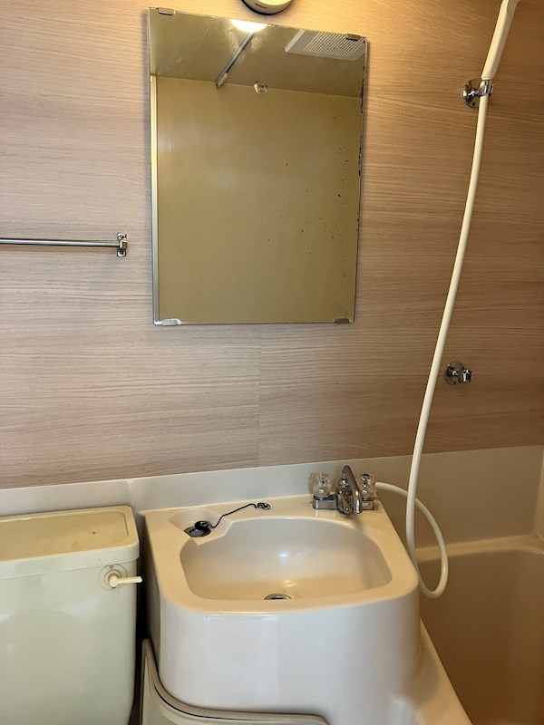 ミッテ宇都宮 洗面所