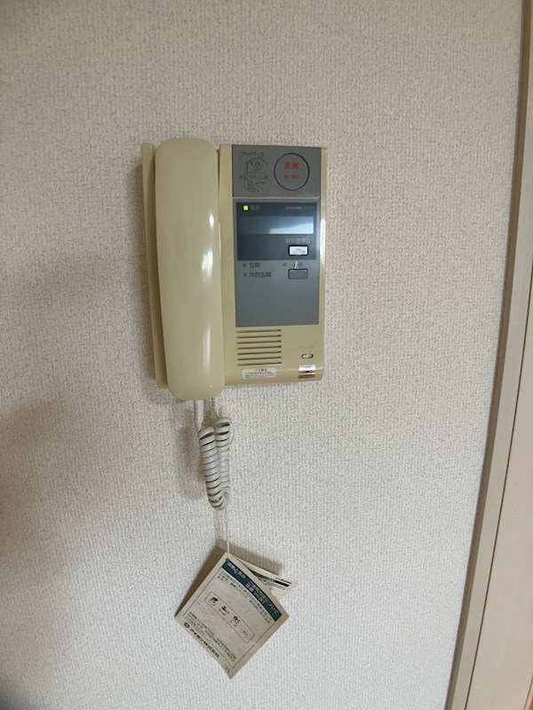 LOTUS MARSH元今泉 その他3