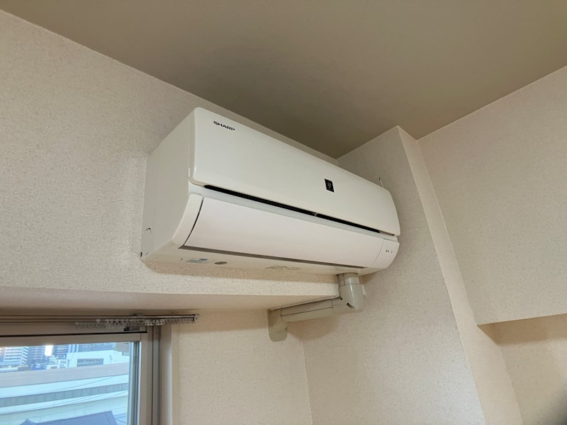 LOTUS MARSH元今泉 その他5