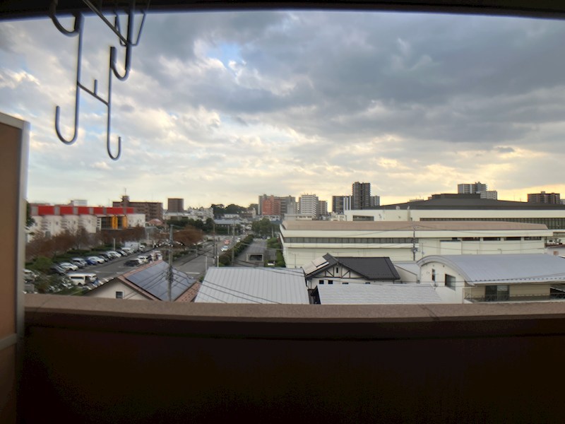 LOTUS MARSH元今泉 その他6