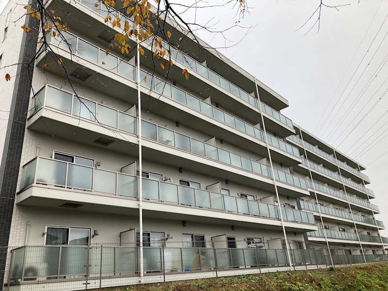 PLACIDES その他10