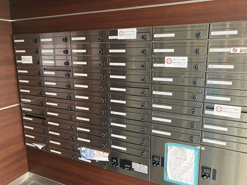 PLACIDES その他11