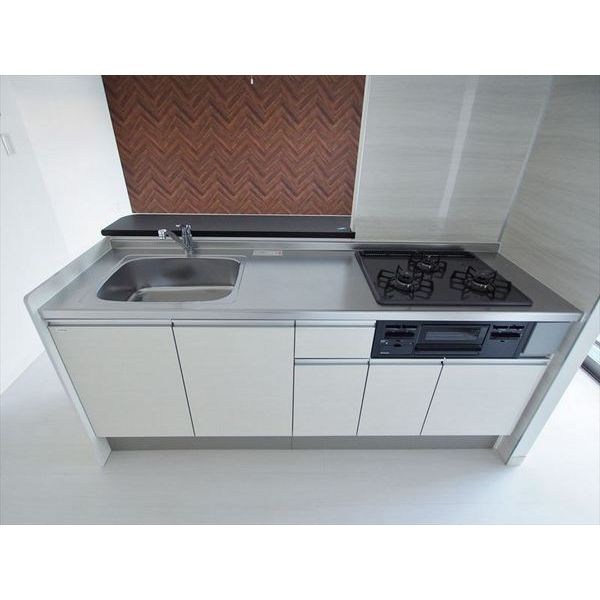 PLACIDES その他12