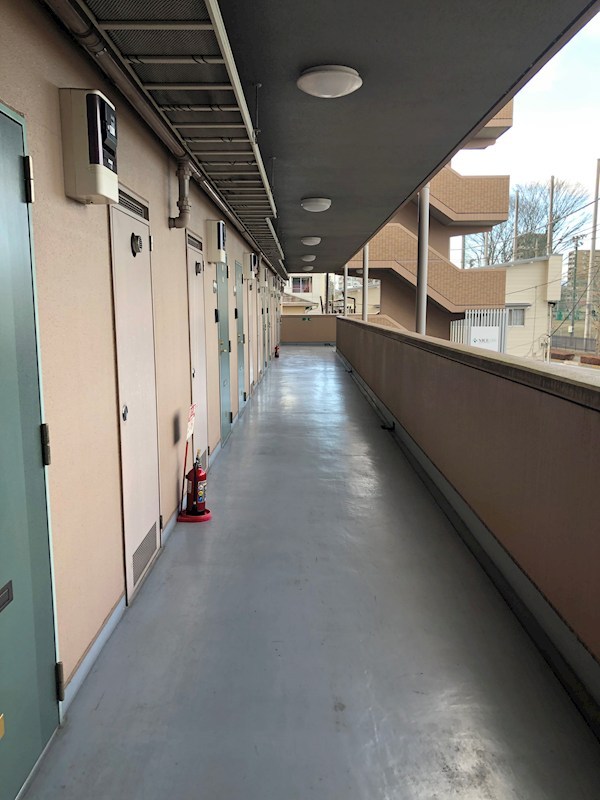 LOTUS MARSH元今泉 その他12