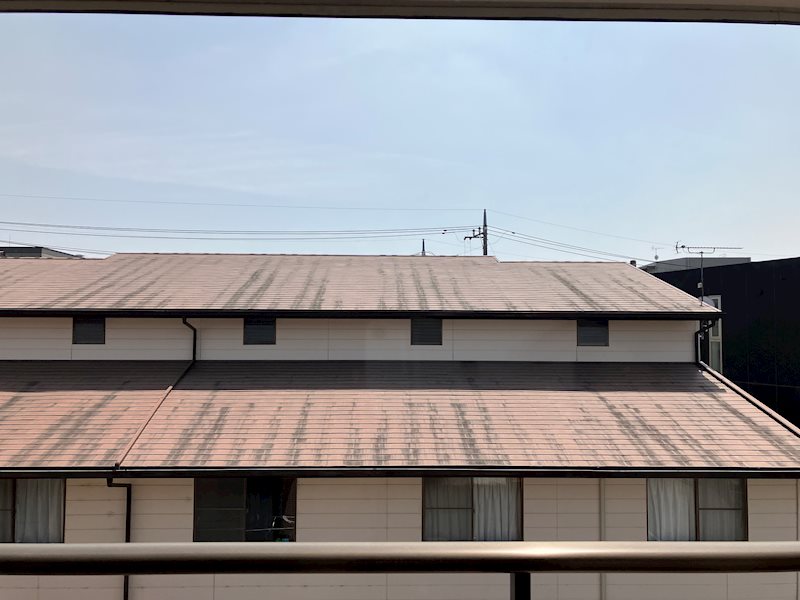 ロイヤルガーデン その他25