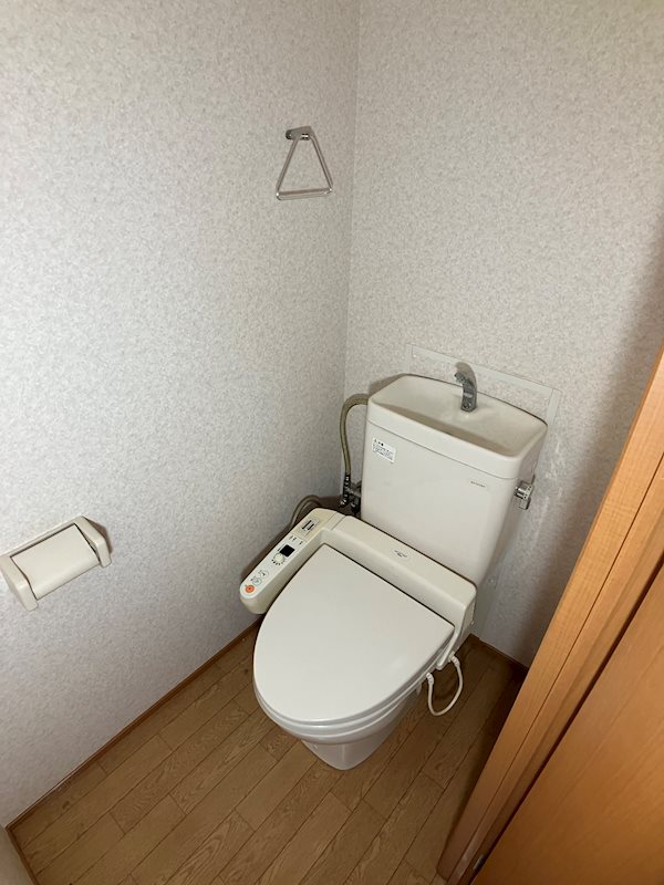 リバティ　C その他1