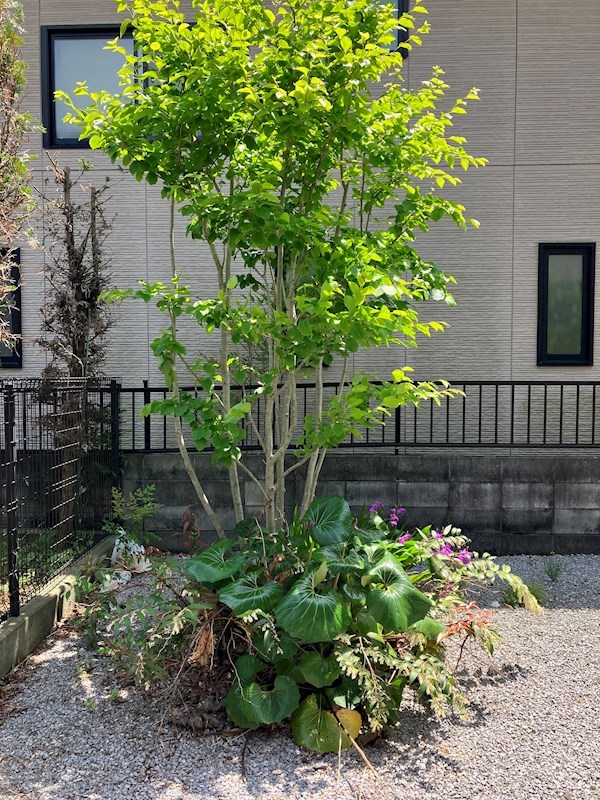 メゾン・ド・サローネ その他23