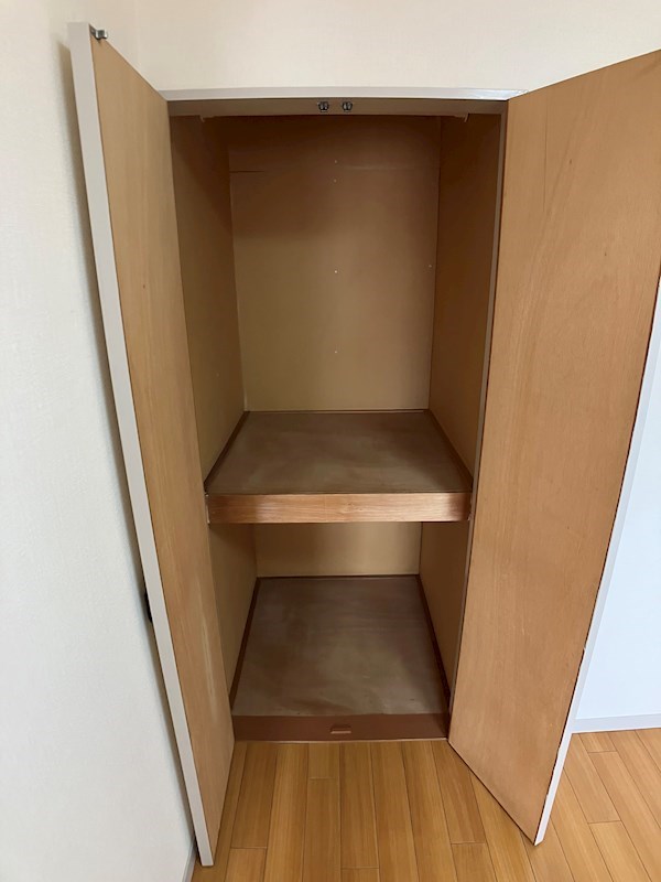 プラトー星 その他5