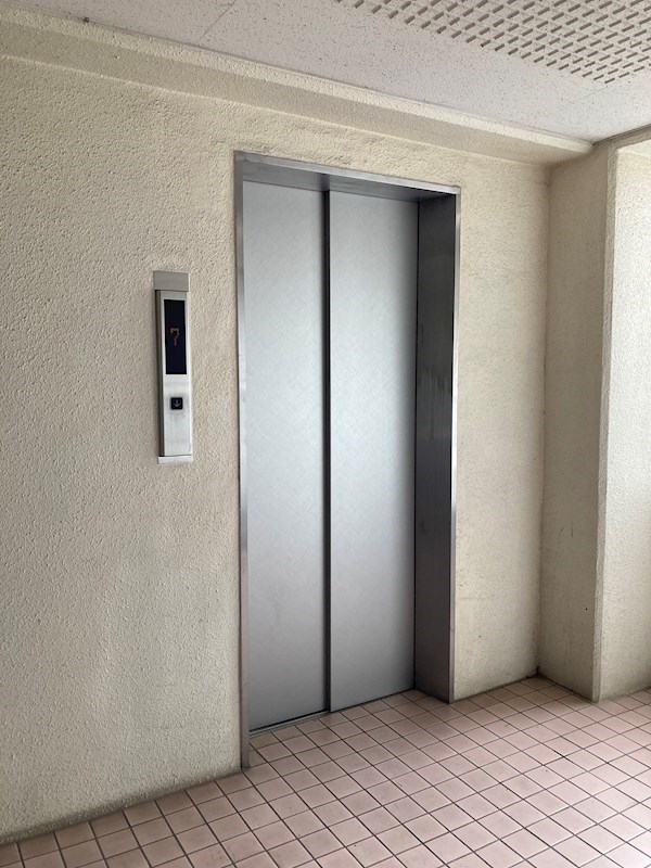 プラトー星 その他8