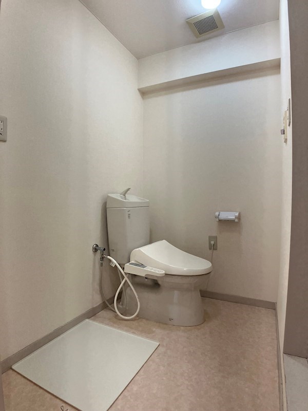 プラトー星 その他11