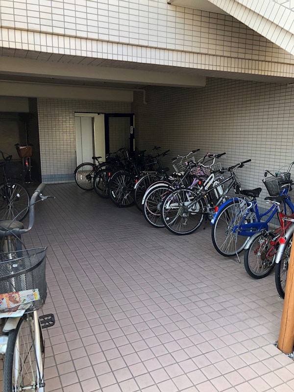 プラトー星 その他19