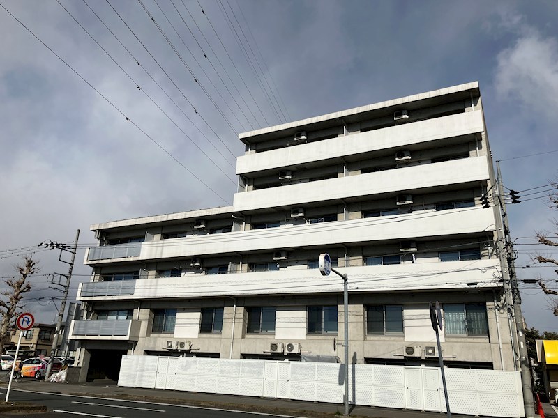 ディープインフォレスト２ その他11