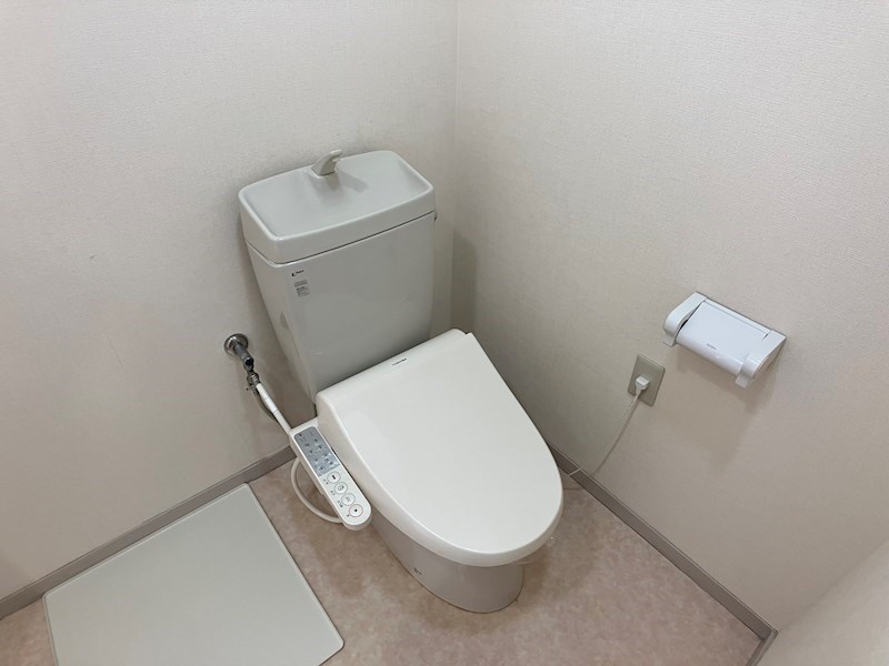 プラトー星 その他1