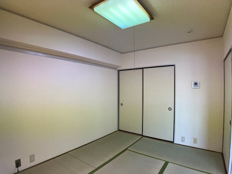 プラトー星 その他15