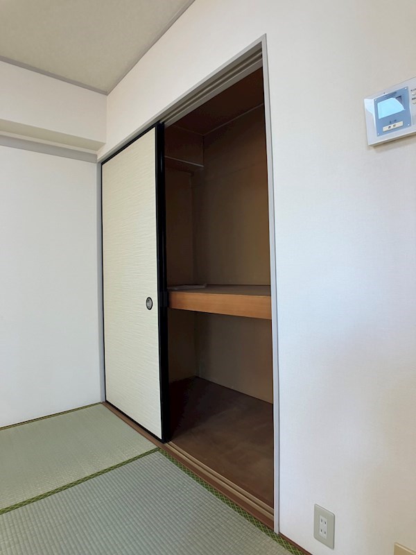 プラトー星 その他16