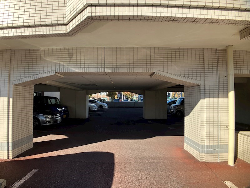 プラトー星 その他18