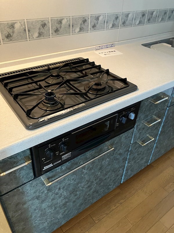 ザ・ミレニアムレジデンス その他15