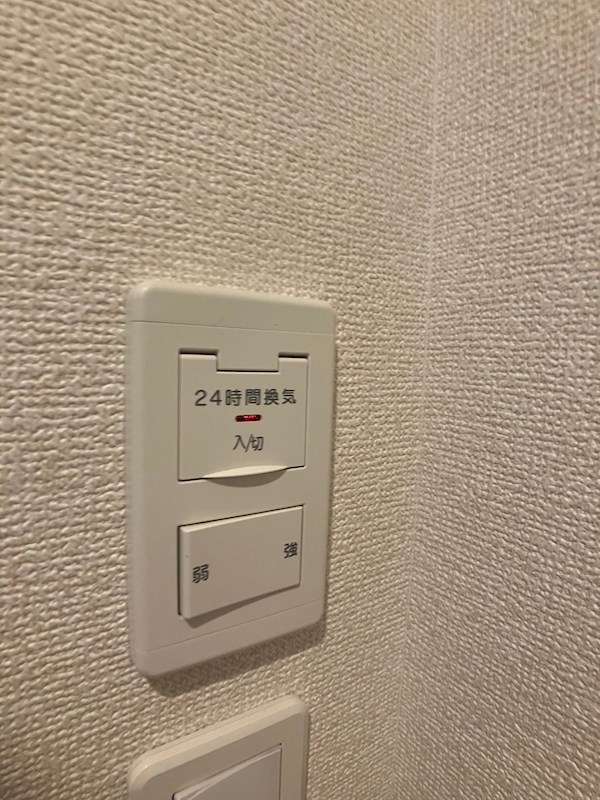 グラース　リオ その他