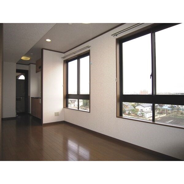 エルハイツ川田 リビング