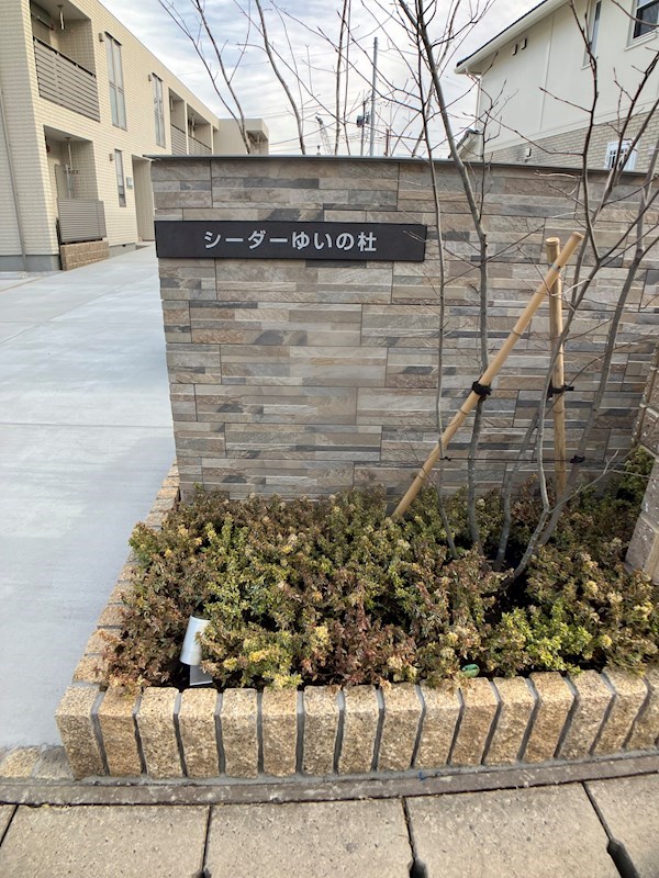 シーダーゆいの杜 その他19