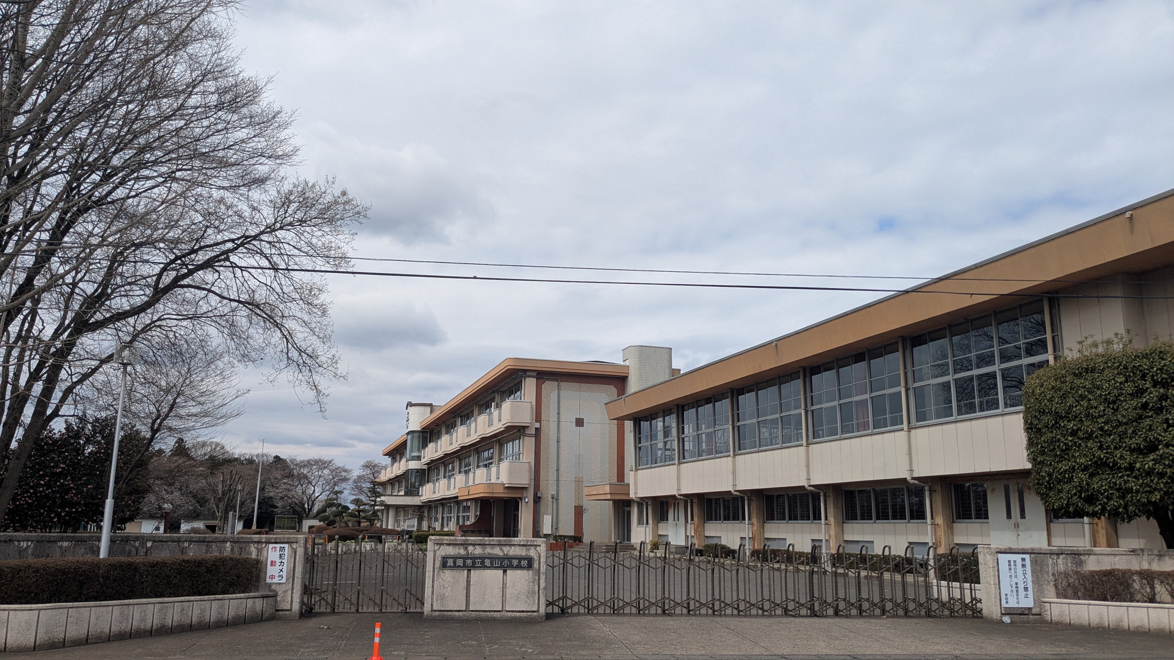 ブルージュエル  小学校