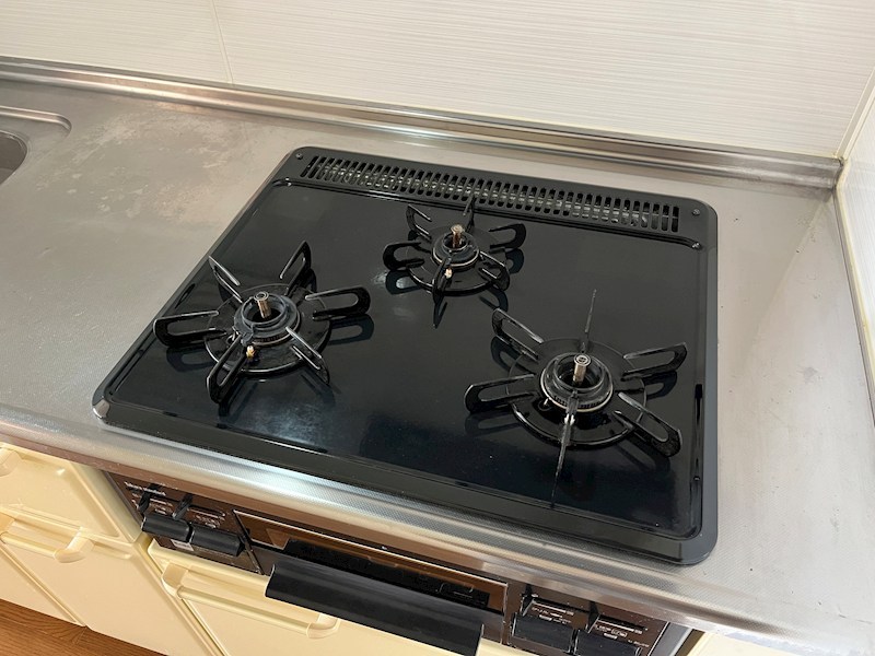 ネオニシキ その他10