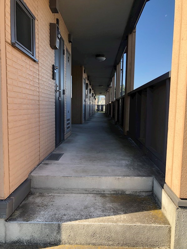 ウィルモアKOEDO その他5