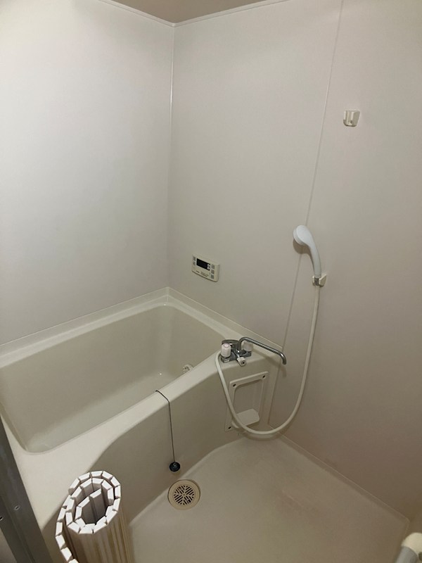 パレス・ド・ルミーネ 風呂画像