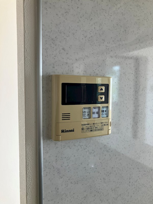 パレス・ド・ルミーネ その他9