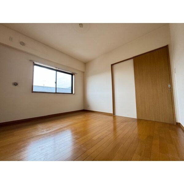 GREEN FOREST その他4