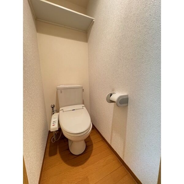 GREEN FOREST その他2