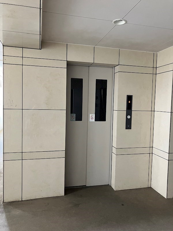 GREEN FOREST その他9