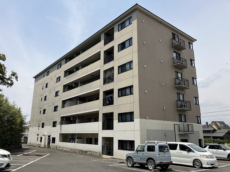 GREEN FOREST その他12